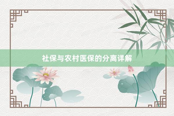 社保与农村医保的分离详解