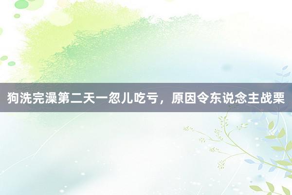 狗洗完澡第二天一忽儿吃亏，原因令东说念主战栗