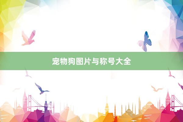 宠物狗图片与称号大全